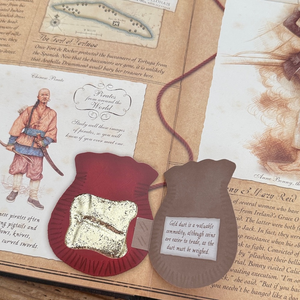 🏴‍☠️PIRATEOLOGY Interactive Book - Picture 14 of 17